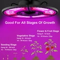 thumbnail image 5 of Skksst 2Packs E26/E27 Grow Light Bulb Foldable 432 LEDs 400W Full Spectrum Red Blue Indoor Plant Lamp, 5 of 7