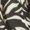 Black White Abstract, variant on Catherines Women's Plus Size Petite Modern Camp Shirt