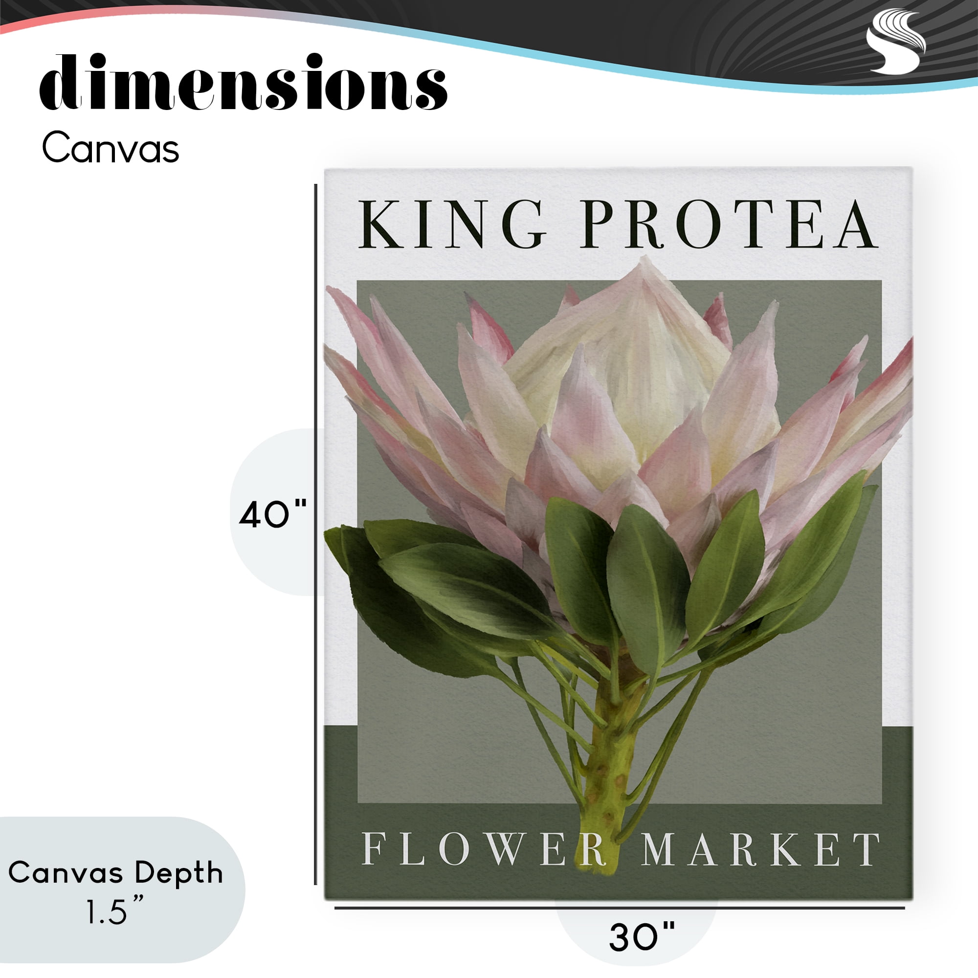 Stupell Industries King Protea Flower Market Canvas Wall Art, design by Jennifer Stith