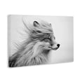 thumbnail image 2 of Stupell Industries Farmhouse Easy Breezy Fox Canvas Art, 24 x 16, by Tina LeCour, 2 of 8