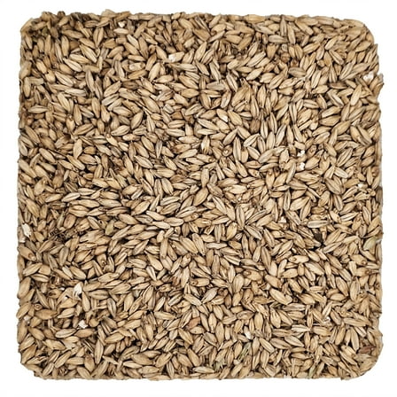 Home Brew Ohio Distillers Grain 5lb