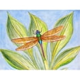 thumbnail image 1 of Betsy Drake PM299 Dicks Dragonfly Place Mat - Set of 4, 1 of 1
