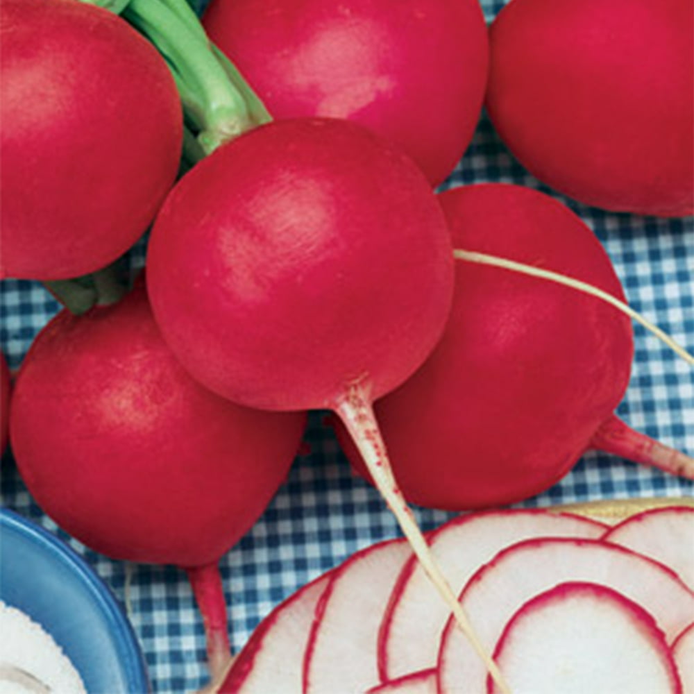 German Giant Radish Seeds 5 g 470 Seeds Heirloom, Open Pollinated