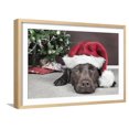 thumbnail image 1 of Labrador in Santa Hat Sleeping by Xmas Tree, Animals Framed Art Print Wall Art Sold by Art.Com, 1 of 5