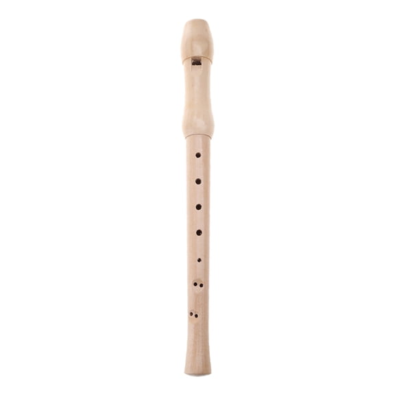 Soprano Recorder Instrument Recorder C Key 8 Hole Recorder Professional Musical Recorder with Cleaning Rod, Carrying Bag
