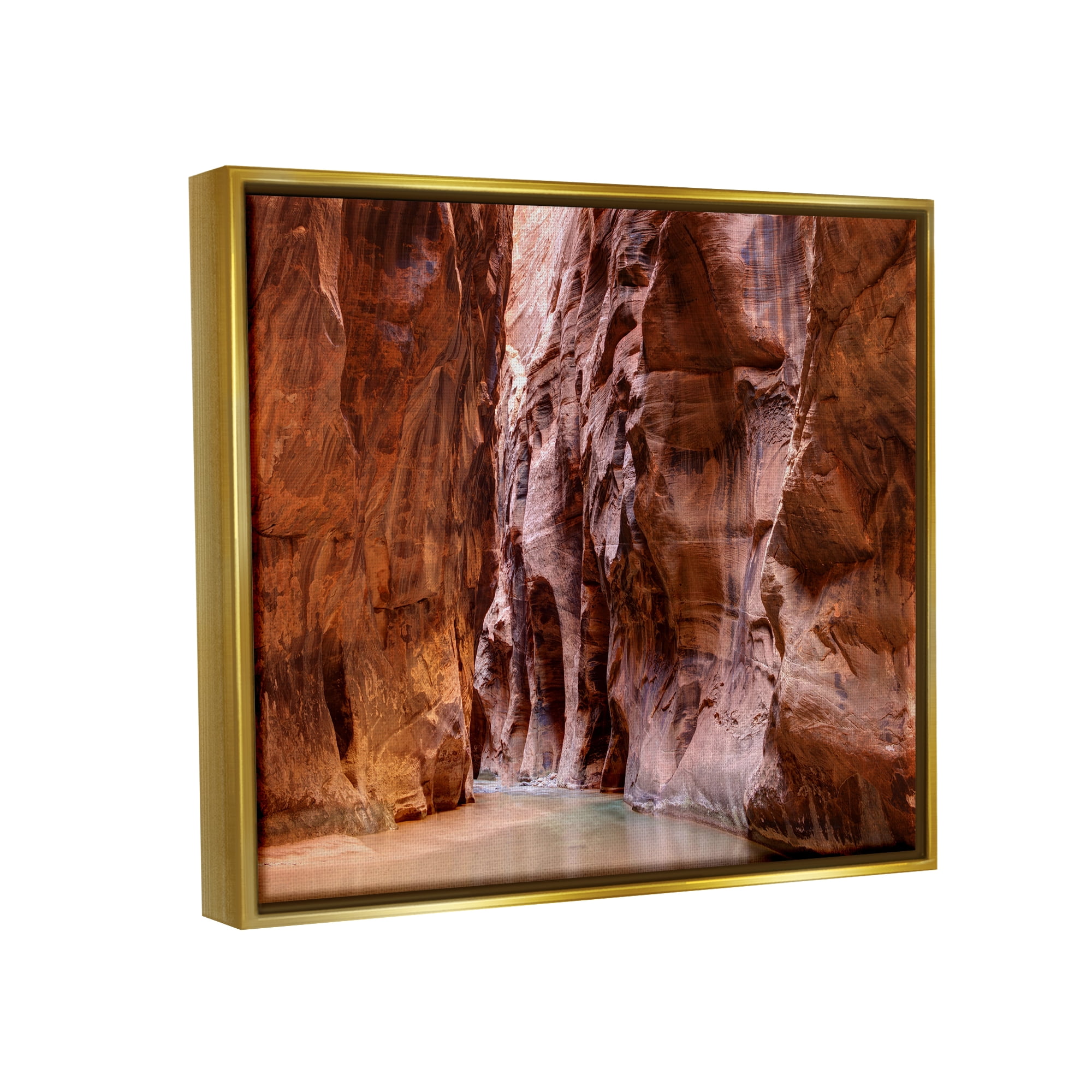 Stupell Industries Zion Park Landscape Nature Photography Gold Floater Framed Art Print Wall Art, 21 x 17