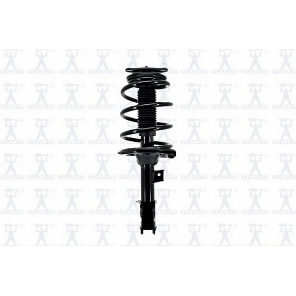 Suspension Strut and Coil Spring Assembly