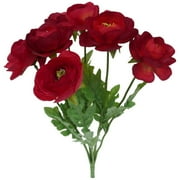 Ranunculus Bush Red
