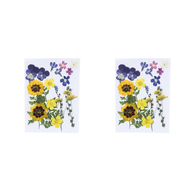 Billuyoard Flores secas naturales Artesanías hechas a mano Ramos en relieve Flores prensadas Hermoso adorno Presente para tarjetas de boda Tipo 4 2piezas