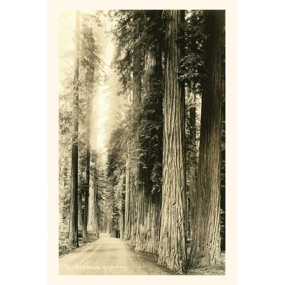 Pocket Sized - Found Image Press Journals: Vintage Journal The Redwood Highway (Paperback)