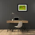 thumbnail image 3 of Jaynes Gallery 18x13 Black Ornate Wood Framed with Double Matting Museum Art Print Titled - Minnesota-Pine County White-tailed deer fawn close-up, 3 of 4