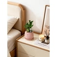 thumbnail image 5 of Lucky Bamboo Style Desk Decor Set with Tray and Pebbles, 5-Stem Arrangement with Panda Figurine, Modern Zen Desktop Decoration for Home Office, Low Maintenance Decorative Accent Gift（Pink）, 5 of 9