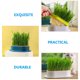 thumbnail image 3 of 4 macetas de hierba gatera para gatos, bandeja para brotes de plantas hidropónicas, maceta de hierba gatera, 3 of 6