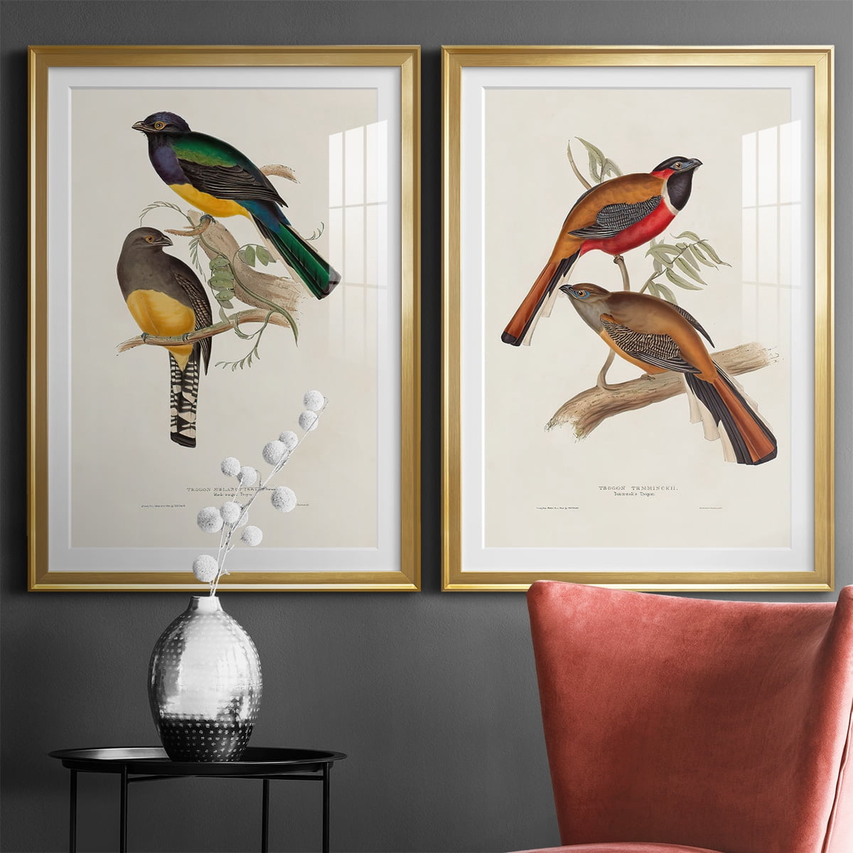 Wexford Home Elegant Trogons III Premium Framed Print, 26.5" x 36.5" - Ready to Hang, Gold (Set of 2)