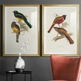 thumbnail image 5 of Wexford Home Elegant Trogons III Premium Framed Print, 26.5" x 36.5" - Ready to Hang, Gold (Set of 2), 5 of 9