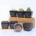 thumbnail image 1 of EIMELI EIMELI Succulent Flower Pots Automatic Water Absorption Flowerpot with Tray Plant Tool, 1 of 10