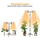 thumbnail image 2 of Luz De Cultivo Con Soporte Luz De Planta De Espectro Completo Luces De Cultivo Para Plantas De Interior Luz De Cultivo Con Soporte De Trípode Ajustable Y Cuello De Cisne, 2 of 6