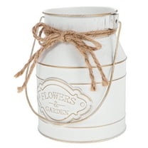 Vases for Decor Small Milk Jug with Lid Can Iron Flower Pot