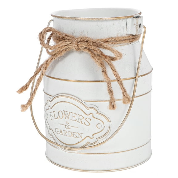 Vases for Decor Small Milk Jug with Lid Can Iron Flower Pot