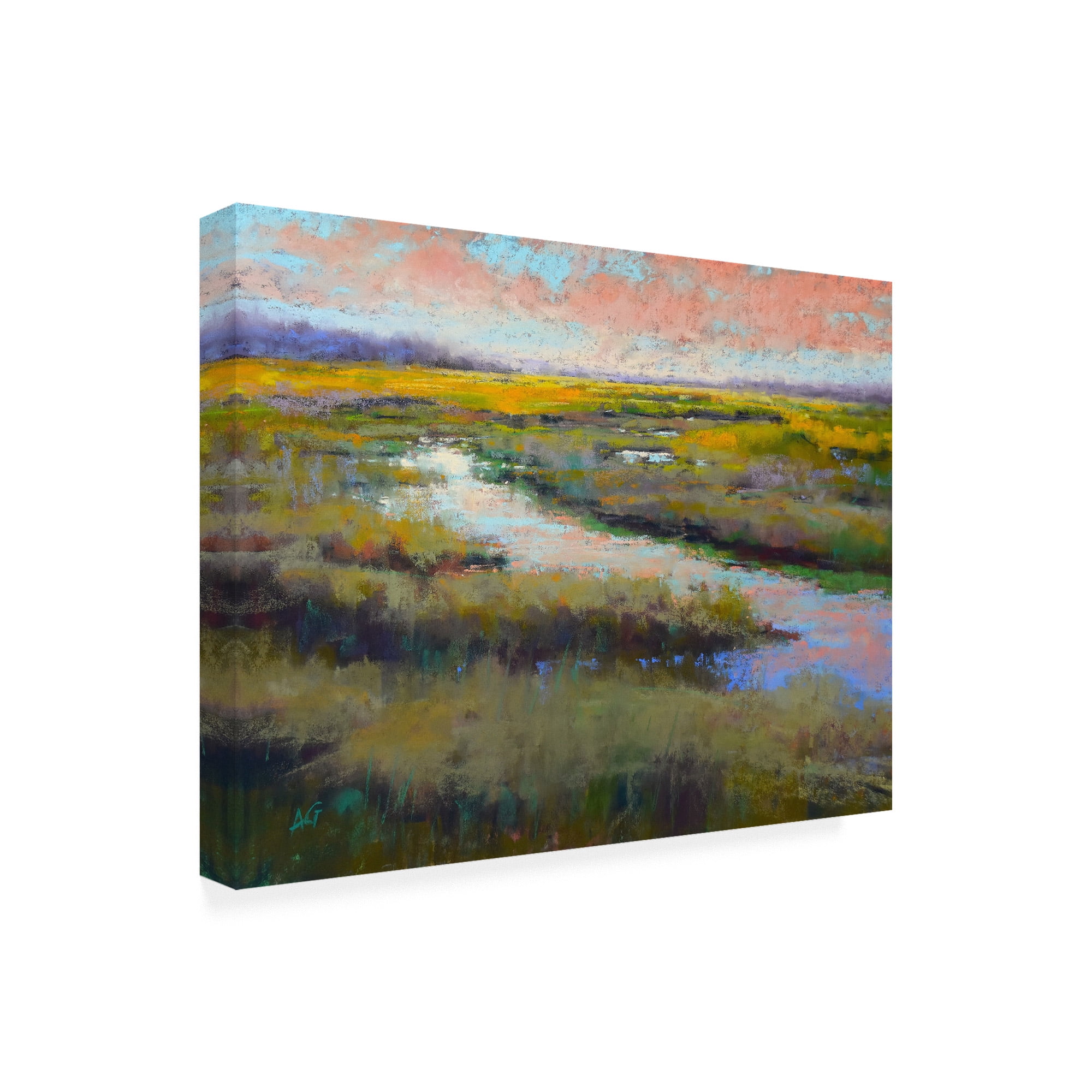 Trademark Fine Art 24x32 Animals Canvas Wall Art 'A Glimmer on the Marsh' by Alejandra Gos