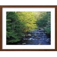 thumbnail image 2 of Art.com Elkmount Area, Great Smoky Mountains National Park, Tennessee, USA Photographic Print by Darrell Gulin, Brown Frame Wall Art, 21" x 17", 2 of 5