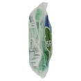 thumbnail image 2 of Howe Spearmint Leaves Mint Candy, 22 oz, Bag, 2 of 11