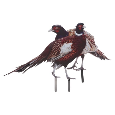 HOMEMAXS 2pcs Outdoor Chicken Yard Art Realistic Pheasant Garden Stake For Lawn And Garden Acrylic Chicken Decor For Courtyard And Fence HOMEMAXS 2pcs Outdoor Chicken Yard Art Realistic Pheasant Garden Stake For Lawn And Garden Acrylic Chicken Decor For Courtyard And Fence