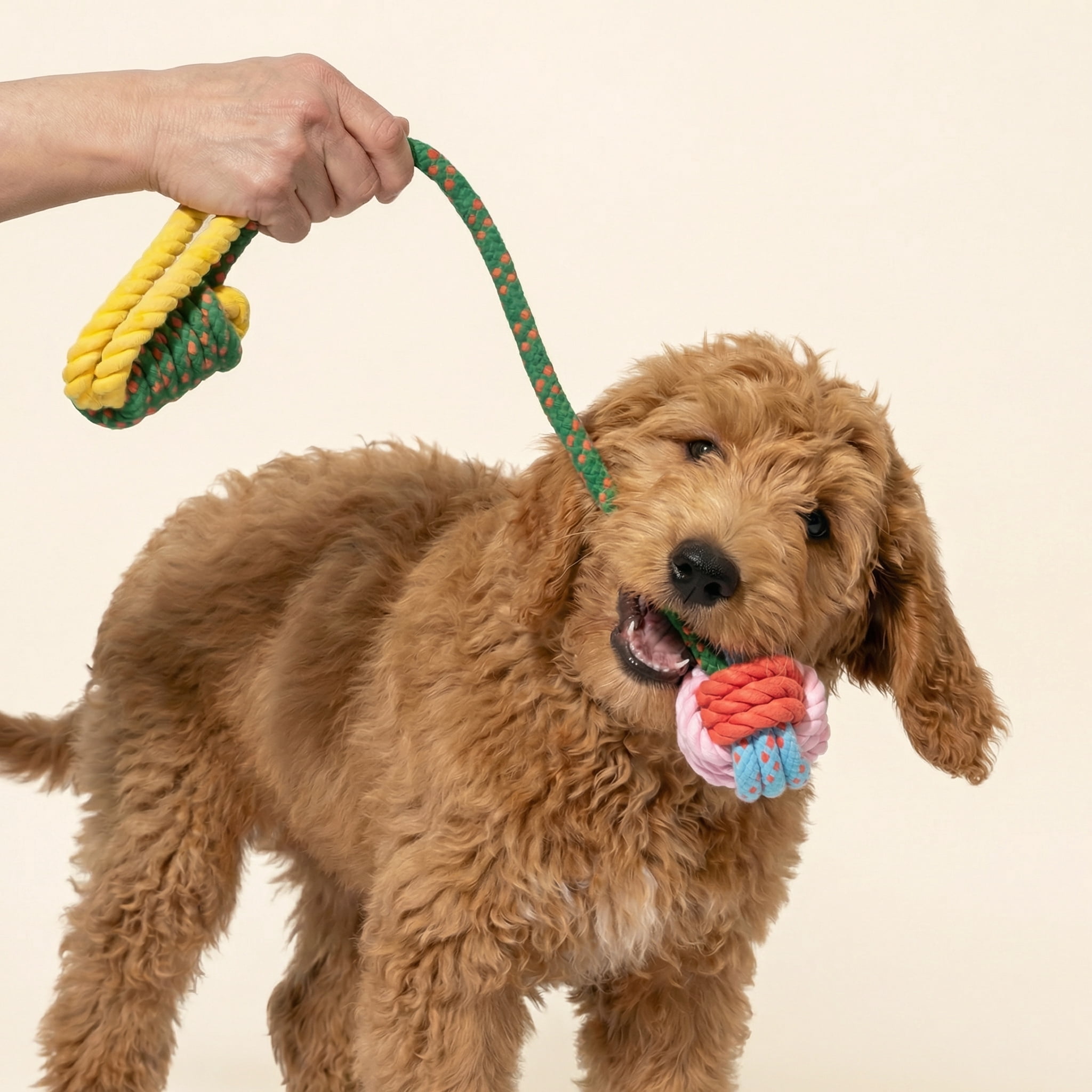 Oodles Durable Lasso Rope Dog Toy Set, Green, Large
