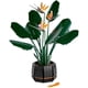 thumbnail image 3 of 1 piece of Bird of Paradise Strelitzia Reginae Everlasting Bouquet Flower Potted Small Particle Assembling Building Block Toy, 3 of 5