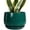 Blackish Green, variant on Ordivic 5 Inch Red Ceramic Planter with Drainage Hole and Saucer – Round Flower Pot for Indoor Plants, Modern Home Decor