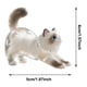 thumbnail image 3 of Colgante para gatos, caja para recoger pelo, acrílico transparente, organizador conmemorativo para mascotas, llavero con gancho para colgar, para recuerdos, 3 of 5