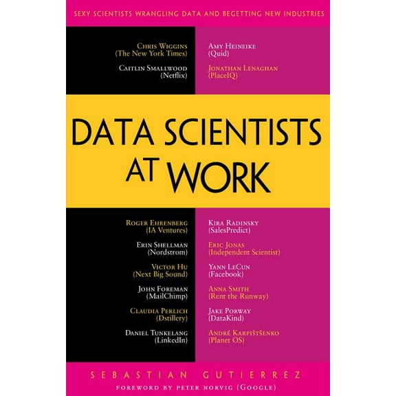 Data Scientists at Work, (Paperback)