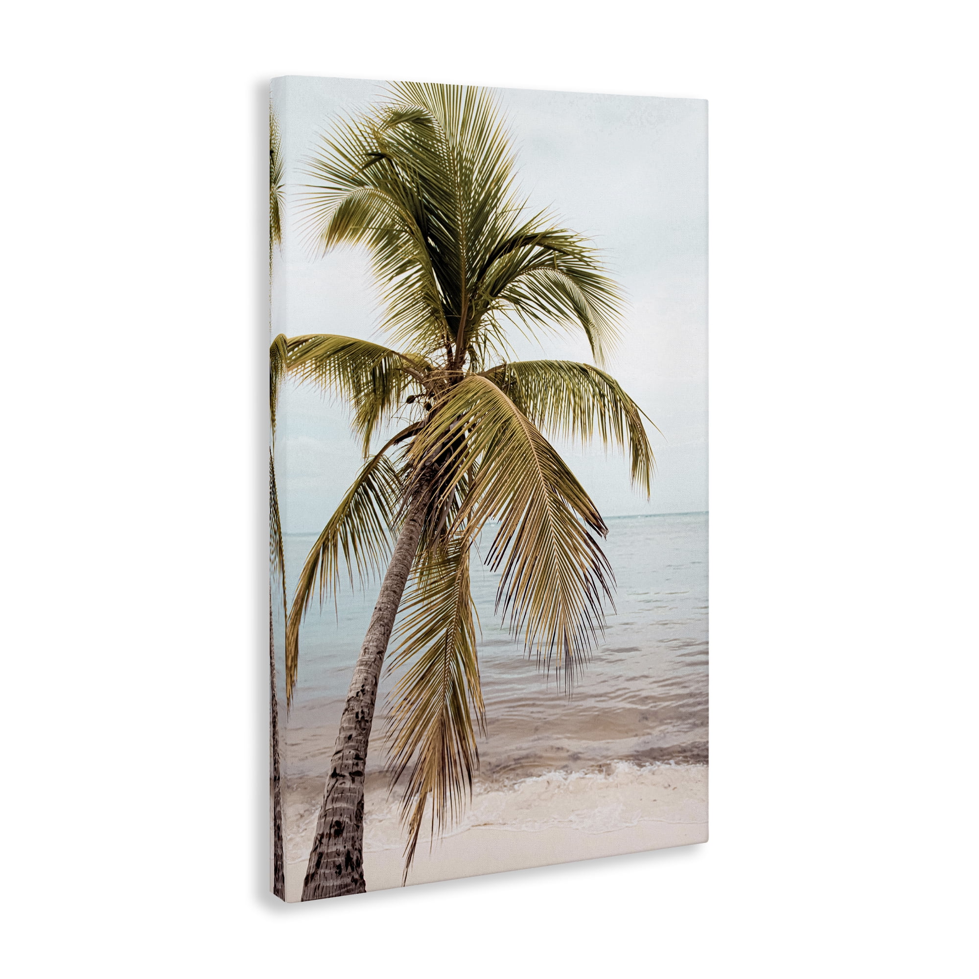 Stupell Industries California Summer Palm Nautical & Beach Photography Wrapped Canvas Art Print Wall Art, 30 x 45