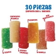 thumbnail image 2 of Borrachines Dulces de Leche 3 Cajas La Coculense Sabores Surtidos 30 Piezas c/u, 2 of 5