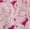 Berry Bright Paisley, variant on Scenario Women's Front Tie Peplum Top with 3/4-Length Sleeves, Size XS-XXXL