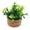 C, variant on YIFAEUX Miniature Bonsai Plant Props Potted Plant Decor Artificial Green Plants for Doll Douses Desk Shelf Mini Home Decorations Miniature Bonsai Planters