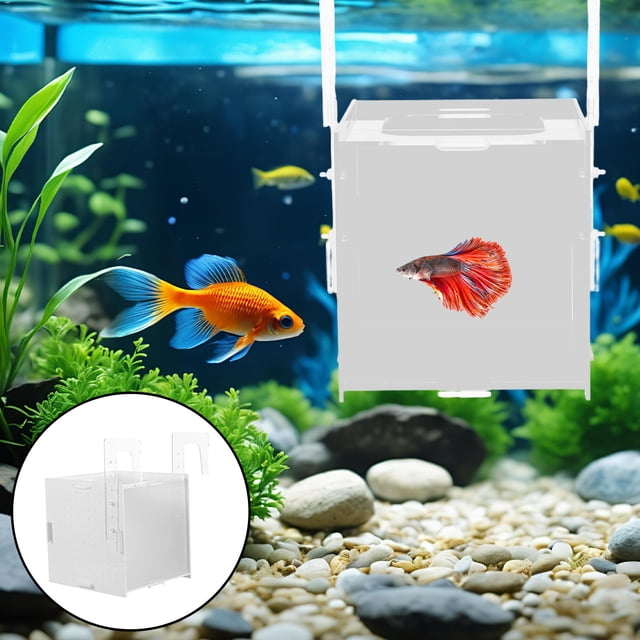 FOMIYES Incubadora Acrílica Para Peces Con Transparente Y Uso En De Peces