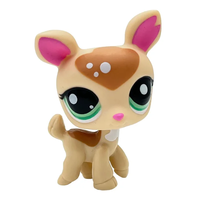 Jouet pour Animaux Rares Mignon, Jouet pour Animaux de Compagnie, Support pour Chien Teckel Colley Cocker Épagneul, Jouet pour Chat à Poils Courts