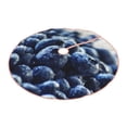 thumbnail image 2 of Kll Blueberry Christmas Tree Skirt 36",Party Decorations Farmhouse For Christmas Decorations Holiday Party, 2 of 8