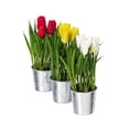 thumbnail image 5 of Vickerman 9.5" Artificial Assorted Set of Tulips in Metal Pot., 5 of 9