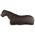 Classic Equine Full Body Slinky- Teal Green