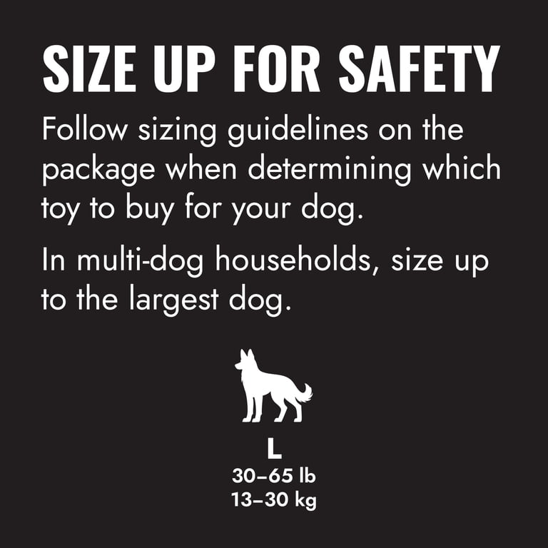 KONG Extreme Ball with Rope, Large Dog Toy photo 2