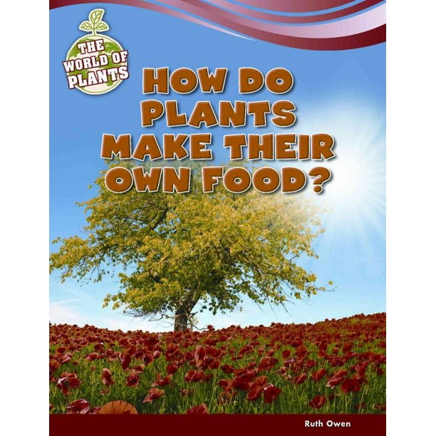 How Do Plants Make Their Own Food?