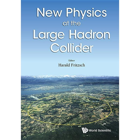 New Physics at the Large Hadron Collider, (Hardcover)