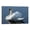 Frame-style, variant on Swan In The Water Cute Animal Posters Art Print Wall Photo Paint Poster Hanging Picture Family Bedroom Decor Gift 08x12inch(20x30cm)
