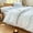 Light Blue Gingham, variant on Red Gingham Grid Duvet Cover Set Twin, 100% Washed Cotton Plaid Comforter Cover Set,Ultra-Soft & Lightweight Cottage Bedding Set(2PCS, Twin)