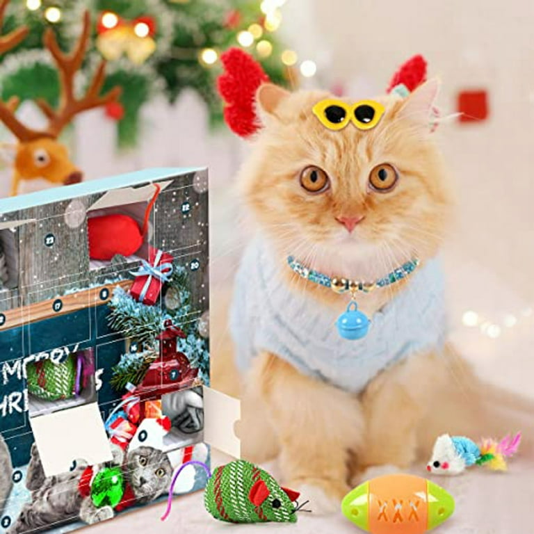 Cat toy cattery discount