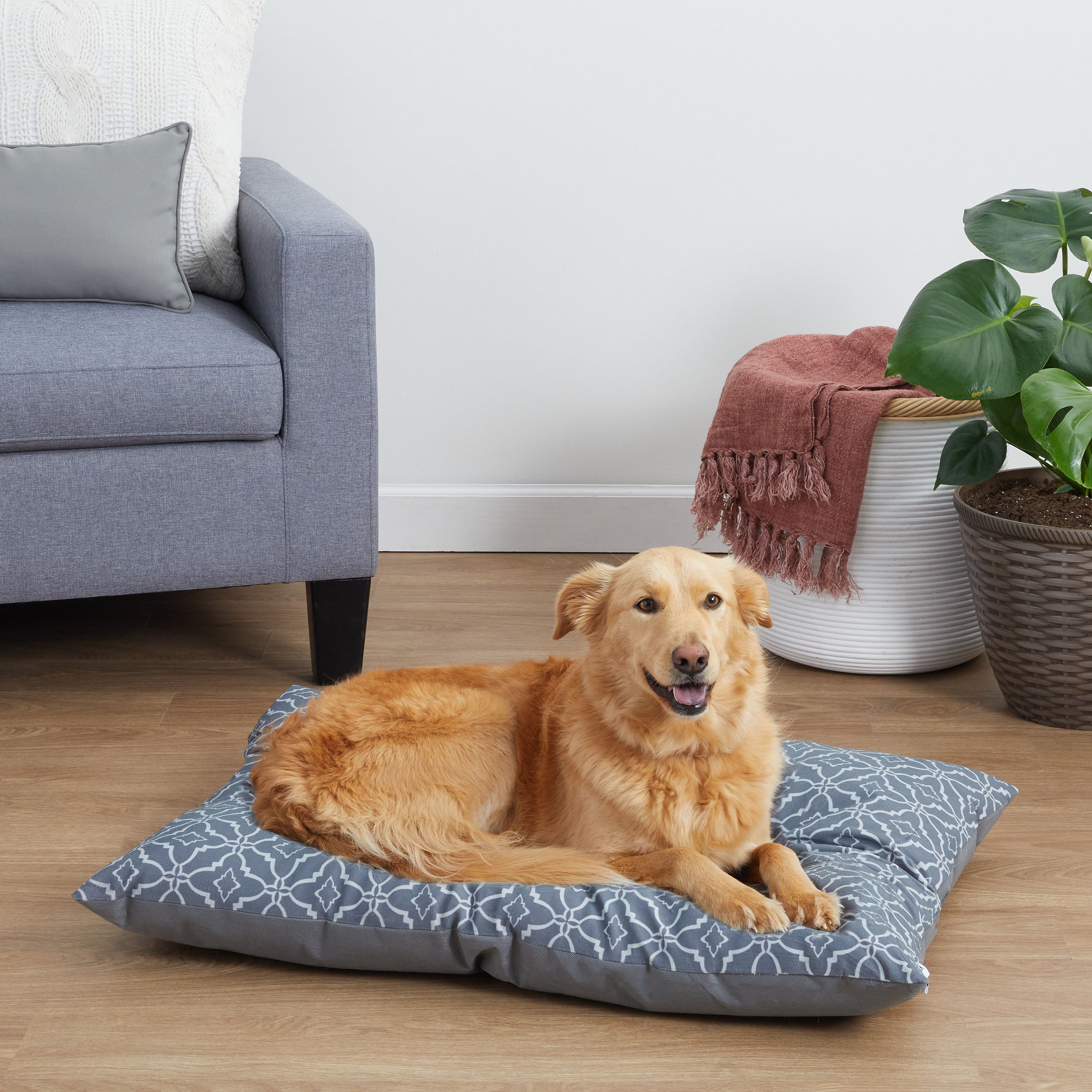 Vibrant Life Luxe Cuddler Mattress Edition Dog Bed, Medium, 27 inchx21 inch, Up to 40lbs, Size: 27 inch x 21 inch x 7 inch