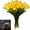 multicolor_Hot#51, variant on LED Tulip Night Light Vase Set with Adjustable Stems for Romantic Ambient Home Decor