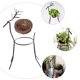 thumbnail image 5 of Soporte de exhibición creativo para plantas de aire, soporte de exhibición para plantas (negro), 2 uds., 5 of 5